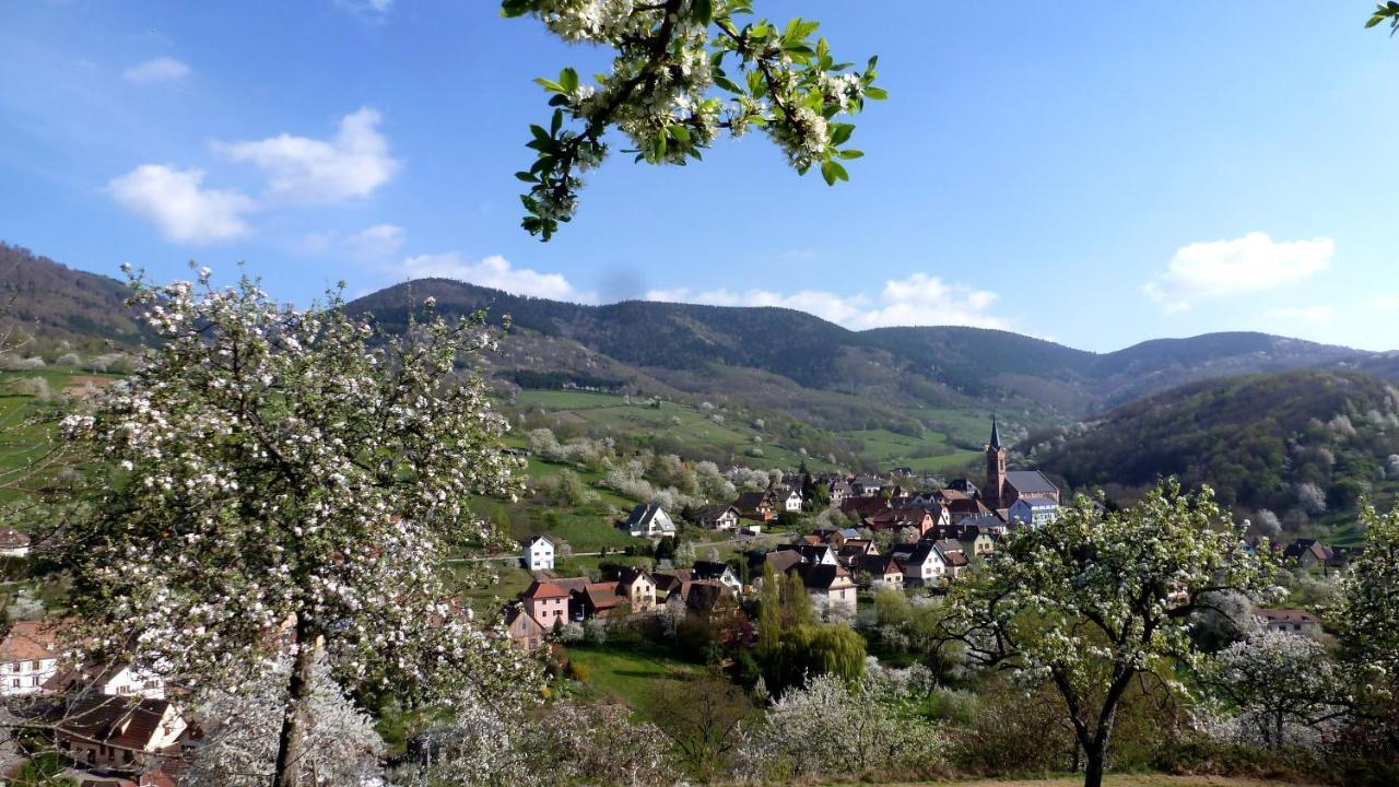 Les Gites La Cerisaie Breitenbach Exterior photo